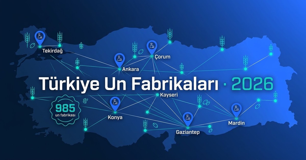 Türkiye Un Fabrikaları Listesi 2026: 985 Üreticiye Nasıl Ulaşılır
